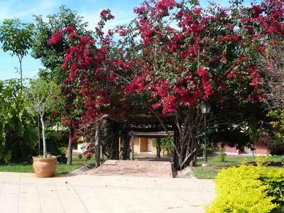 Hotel Fazenda Do Bertione Miranda Exterior foto